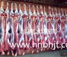 肉類冷庫